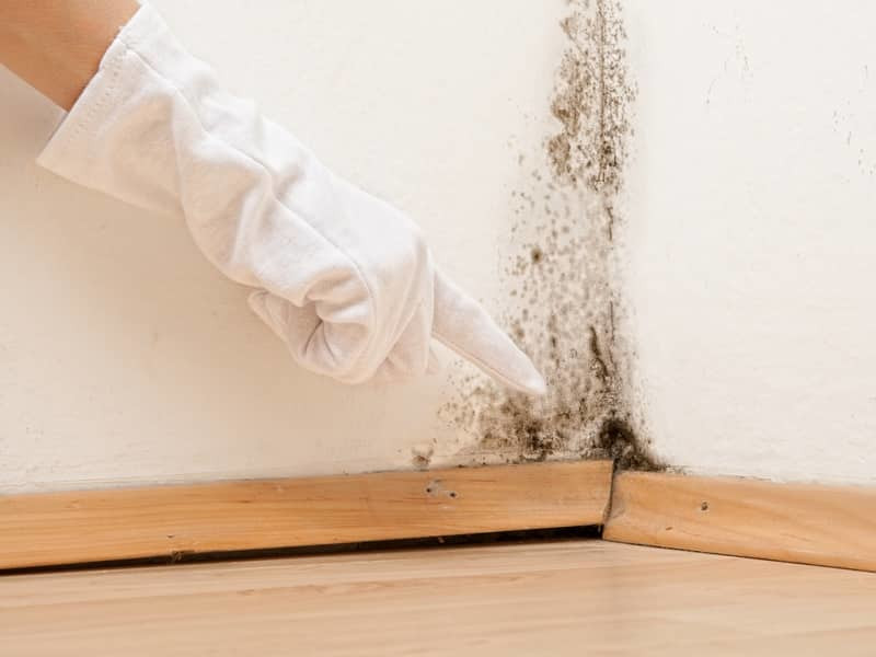 Humidité mur 78, expertise problème d'humidité Versaille, exêrt infiltration Yvelines, problèmes d'infiltration 78,